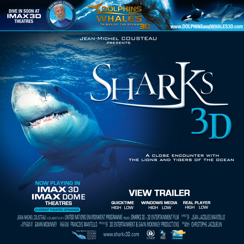 SHARKS 3D